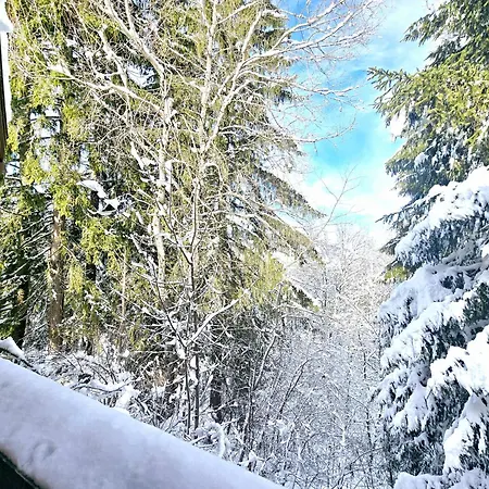 Apartmán Charming Sunny Duplex