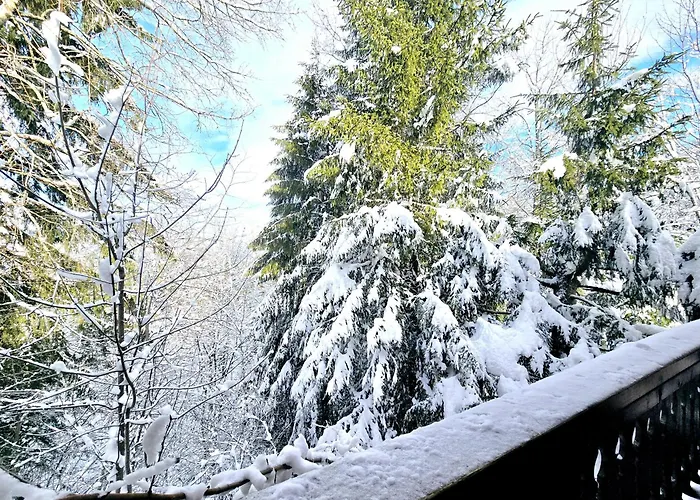 Charming Sunny Duplex Apartment