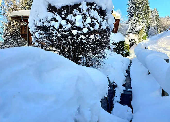 Charming Sunny Duplex Megeve